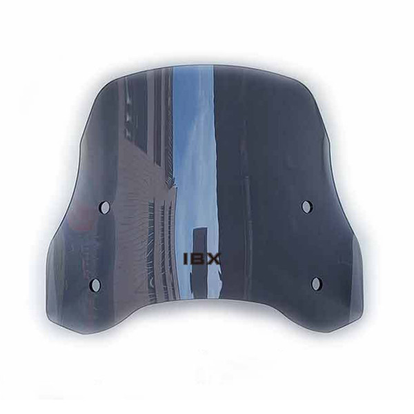 BWM F-750GS windshield